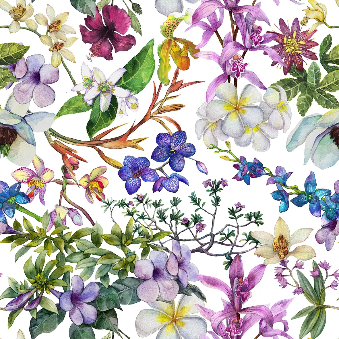 Slippers - Orchid Light Botanicals